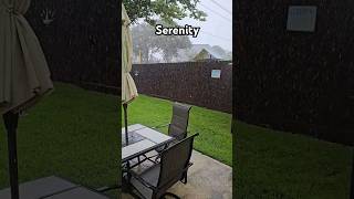 Do you love the rain? It is so calming #serenity #rain #rainshower #calm #relaxing #shorts #bliss