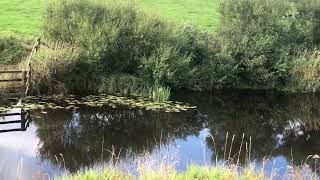 Shortest River in England River Bain North Yorkshire