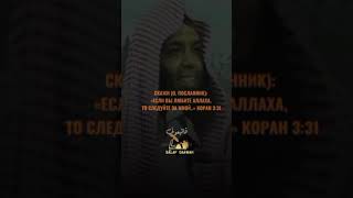 Если вы любите Аллаха , то следуйте за мной - шейх Халид ар Рашид