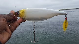 Off season project #1 Canal Stick Shad :Part 1