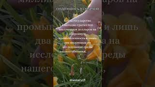 разумная жизнь #мудрыеслова #душа #мудрость #мудрость #шортс #психология #цитаты #любовь