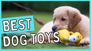 Best Dog Toys┃TOP 8 Best Dog Toys (2022) 🐶✔️