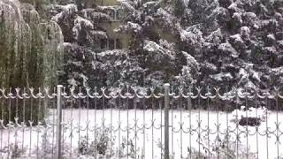 Snowfall in Russian street