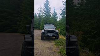 Let's go for a drive #jeeplife #mushroom #foraging #pnw #reels #tiktok #washington #shortvideo