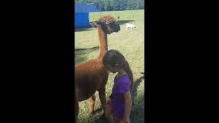 Lucky Acres Farm in Townville, SC