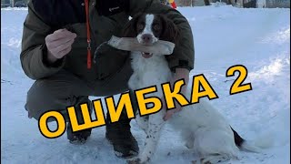 Роняет поноску. Обучение охотничьей собаки. Видео 15.