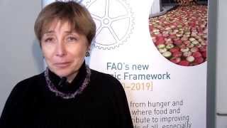 FAO Strategic Objective 4 - Key Messages