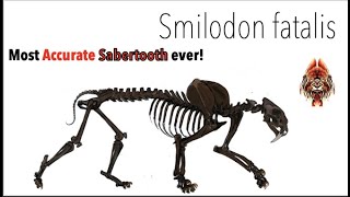 2021 Smilodon fatalis flow. Behold! Most Accurate Reconstruction.