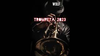 WOLF-  Trompeta 2023