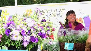 Field Trip: Harvesting Flowers For Market