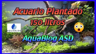 ACUARIO PLANTADO DE 150 LITROS | AQUABLOG ASD | ACUARIOS DE AMIGOS #12 | AcuaFish