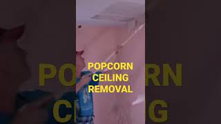 Popcorn Ceilings DISAPPEAR in Seconds