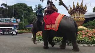 Nong Nooch Outside Park | Nong Nooch Tropical Garden |  Pattaya, Thailand