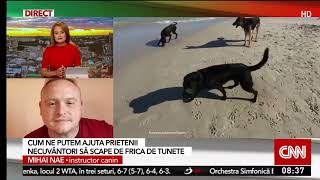 Stirile Antena 3 -🖥️ Tunete și fenomenele meteo afectează cainii