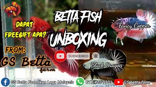 UNBOXING BETTA!!! From GS BETTA FARM 🇲🇾 | BLACK DRAGON PAIR & FANCY COOPER PAIR