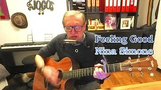 "Feeling Good" - Nina Simone - Unplugged Rendition w/ Acoustic Guitar & Bluesharp