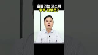 흔들리는 코스피, 향후 전망은?