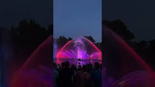 Wasserlichtkonzert im Park #hamburg #plantenunblomen