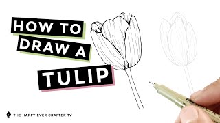 How to Draw a Tulip - Step-by-Step Instructions