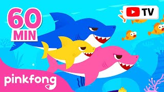 Baby Shark Dance More and More | Doo Doo Doo 60 Min | Baby Shark Non-Stop | Pinkfong Songs for Kids