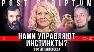 Нами управляют инстинкты? Софья Пантелеева. #Постскриптум