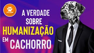 A verdade sobre HUMANIZAÇÃO em cachorro