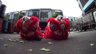 Metal Establishment CNY Lion Dance