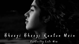 Bheegi Bheegi Raton Me - Mansoon Slowdown Chill Lofi Mix Song  | Another Sad Night