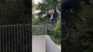 Kirk Kenny Tailwhip BMX