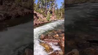 A River Flows in You #river #nature #fallenleaflake #laketahoe #naturelover #rio