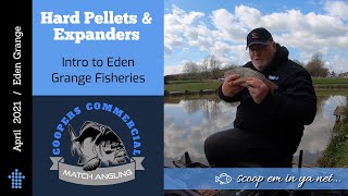 Hard Pellets & Expanders - Stockie Carp - intro to Eden Grange