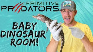 What's In Our Rare Reptile Nursery?!? | Primitive Predators