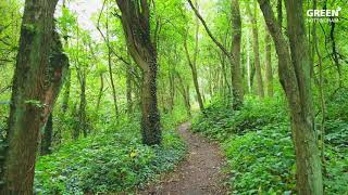 Wilwell Farm Cutting Nature Reserve