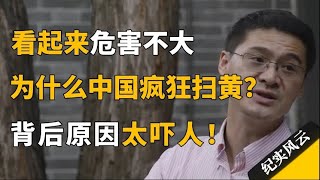 看起来危害不大，为什么中国往死里“扫黄”？背后原因太吓人！#纪实风云 #纪录片 #罗翔