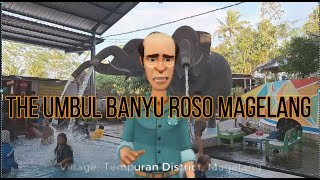 UMBUL BANYU ROSO IS AMAZING