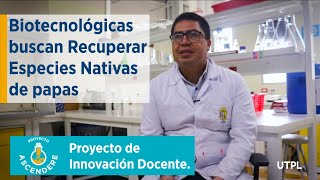 Conoce el proyecto "Herramientas biotecnológicas para la recuperación de variedades nativas de papa"