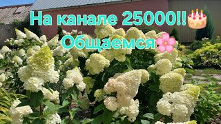 25000 на канале!!!