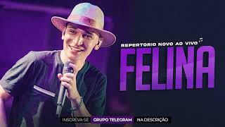 FELINA - JOÃO GOMES