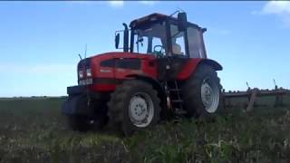 [2013] BELARUS 952.3 Kukorica sorközművelés [engine sound]