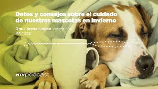 Datos y consejos sobre el cuidado de nuestas mascotas en invierno