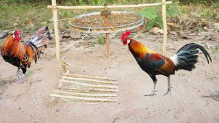 The First Unique DIY Wild Chicken Trap  Make From Old Bicycle & Wood - Easy Make Wild Chicken Trap