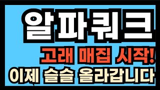 알파쿼크 고래 매집 시작! 이제 슬슬 올라갑니다