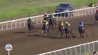 Jebel Ali 021124 Race 2