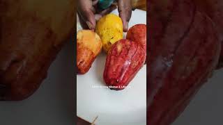 Cashew Fruit / முந்திரி பழம் #shorts #shortsvideo #trending #seasonalfruit #cashewnuts #cashewfruit