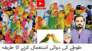 Birds Ki Medicine Aur Setup Key UpDate || Adeel Sweet Birds || 🦜🐓🕊