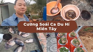 Cường Soái Ca Du Hí Về Miền Tây Và Món Cá Tai Tượng Hấp Dẫn