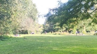 IRL Stream - Short Park Stream