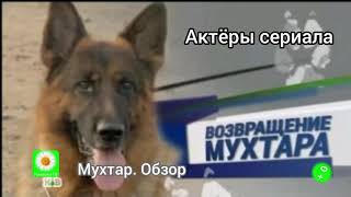 Мухтар. Обзор.