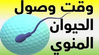 رحلة الحيوانات المنوية لانجاب طفل | مدة وصول الحيوان المنوي للبويضة كم يستغرق الحيوان المنوى للوصول