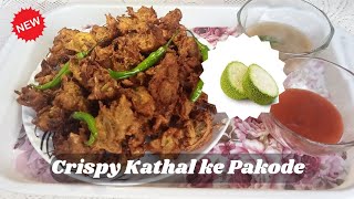 कटहल की नई रेसिपी -Crispy Kathal ke Pakode एक बार जरूर बनाएं | Jackfruit Pakora Recipe | Jackfruit |